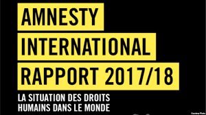 amnesty. 20172018jpg.png